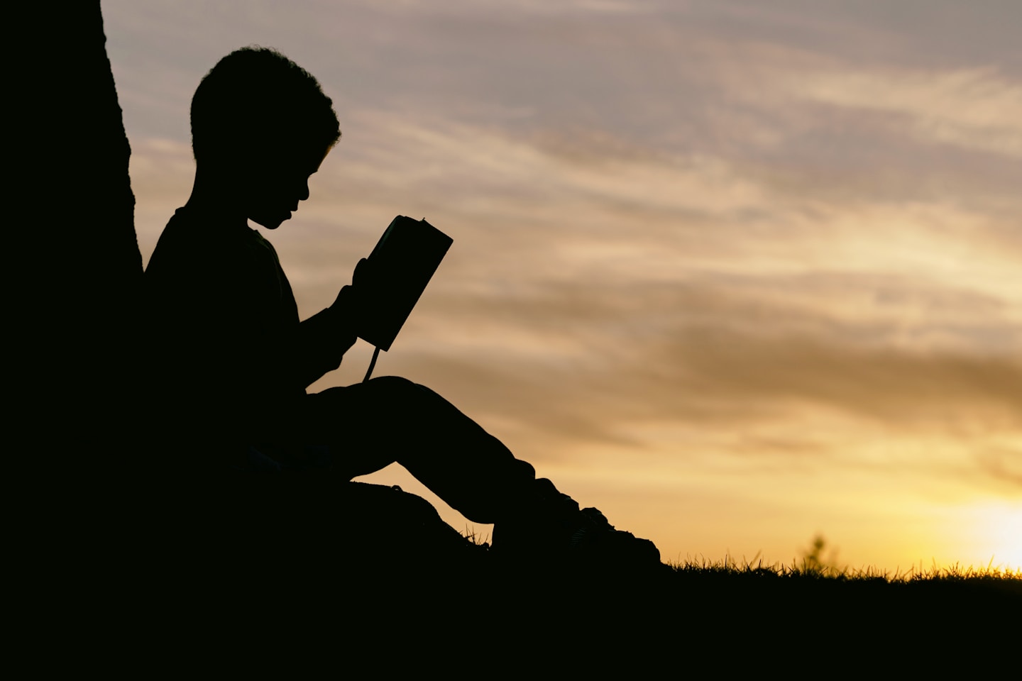 silhouette of child sitting behind tree during sunset